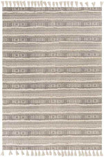 Bussel Global Light Brown Area Rug