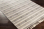 Bussel Global Light Brown Area Rug