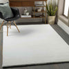 Casteren Modern White Area Rug