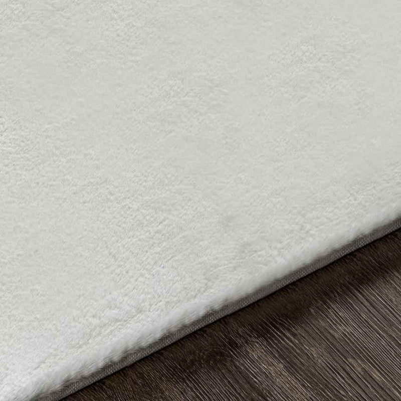 Casteren Modern White Area Rug