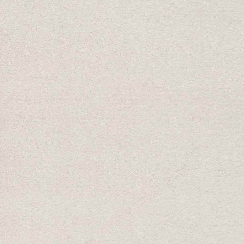 Casteren Modern Ivory Area Rug