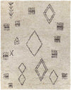 Cromvoirt Global Ivory Area Rug