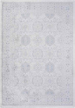 Dussen Traditional Light Gray Area Rug