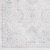 Dussen Traditional Light Gray Area Rug