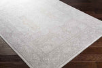 Eersel Traditional Light Gray Area Rug