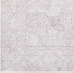 Eersel Traditional Light Gray Area Rug