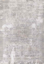 Egypte Traditional Light Gray Area Rug