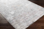 Egypte Traditional Light Gray Area Rug