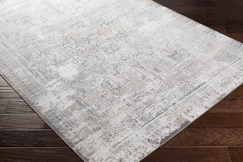 Egypte Traditional Light Gray Area Rug