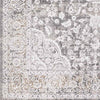 Eikberg Traditional Light Gray Area Rug