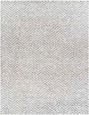 Gennep Modern Light Gray Area Rug