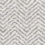 Gennep Modern Light Gray Area Rug