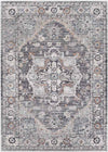 Grazen Traditional Light Gray Area Rug