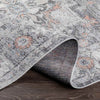 Grazen Traditional Light Gray Area Rug