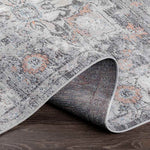 Grazen Traditional Light Gray Area Rug