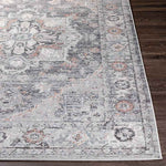 Grazen Traditional Light Gray Area Rug