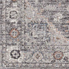 Grazen Traditional Light Gray Area Rug