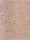 Haps Modern Peach Area Rug