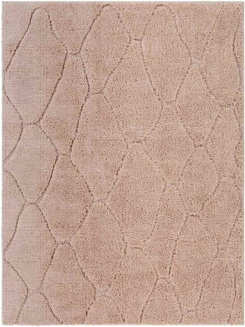 Haps Modern Peach Area Rug