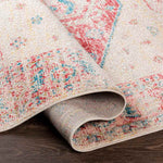 Kreek Traditional Coral Area Rug
