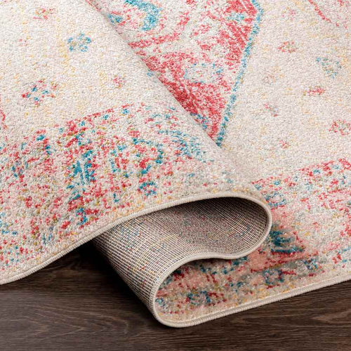 Kreek Traditional Coral Area Rug