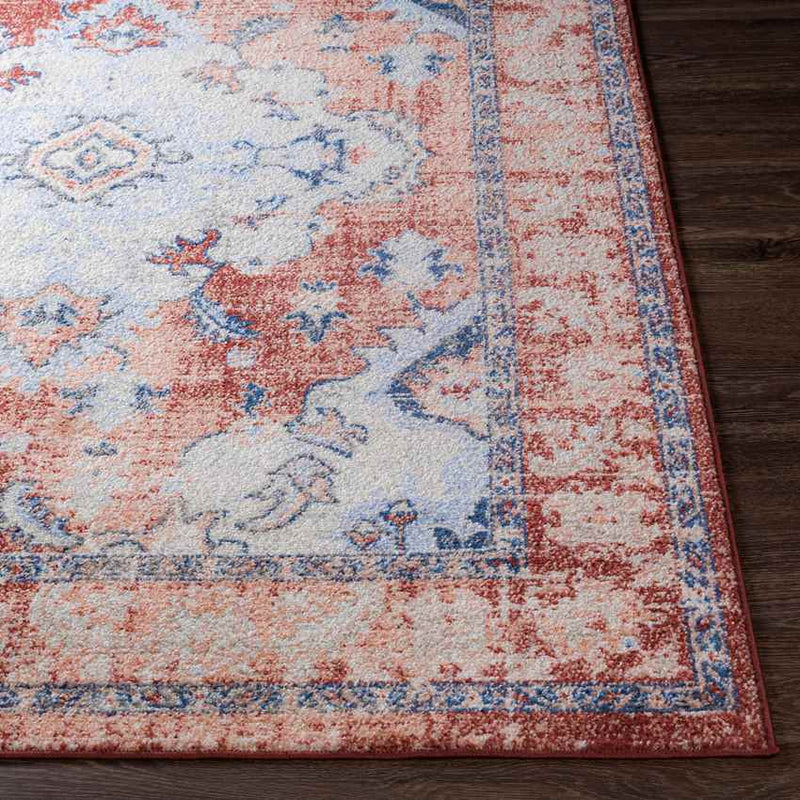 Kreijl Traditional Burned Orange Area Rug