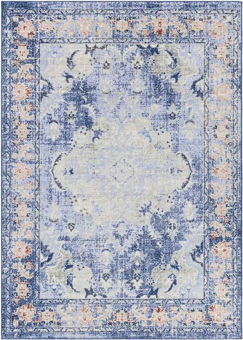 Kreijl Traditional Light Blue Area Rug