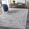 Lieshout Traditional Pale Blue Area Rug