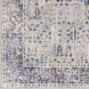 Lieshout Traditional Pale Blue Area Rug
