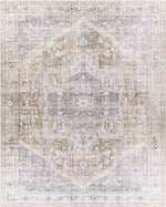 Maasdriel Traditional Light Gray Area Rug