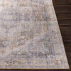 Maasdriel Traditional Light Gray Area Rug