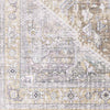 Maasdriel Traditional Light Gray Area Rug