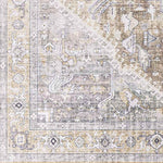 Maasdriel Traditional Light Gray Area Rug