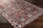Luitert Traditional Dark Red Area Rug