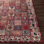 Luitert Traditional Dark Red Area Rug