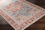 Maarheeze Traditional Burnt Orange Area Rug