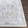 Moeren Traditional Light Gray Area Rug