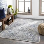 Moeren Traditional Light Gray Area Rug