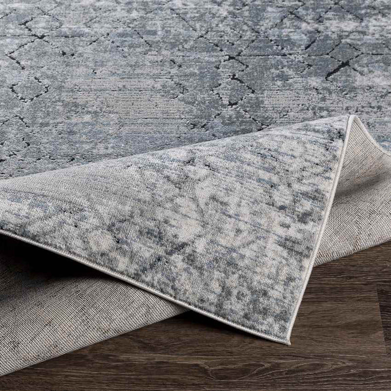 Moleneind Traditional Medium Gray Area Rug