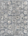 Mosbulten Traditional Light Gray Area Rug
