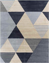 Nijhoven Modern Charcoal Area Rug