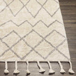 Nispen Global Taupe Area Rug