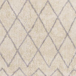 Nispen Global Taupe Area Rug