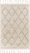 Noord Global Beige Area Rug