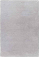 Pandgat Modern Light Gray Area Rug