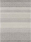 Aigle Global Charcoal Area Rug
