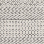 Aigle Global Charcoal Area Rug