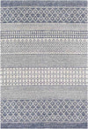 Aigle Global Denim Area Rug