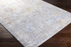 Lenox Traditional Light Gray Area Rug