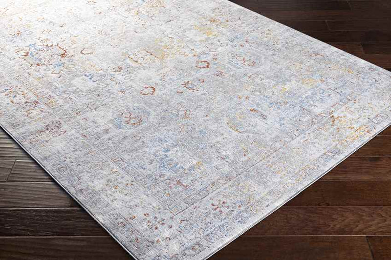 Lenox Traditional Light Gray Area Rug
